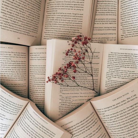 Blind Date with a Book Gift Set - Picture 2 of 2